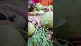 Uga Hai Suraj Dev chhath puja songs Telo Bokaro Jharkhand chhathpuja terikhatirmi [upl. by Ahsemed]