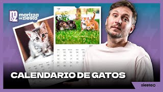 Calendario de Gatos curiosos [upl. by Ratep]