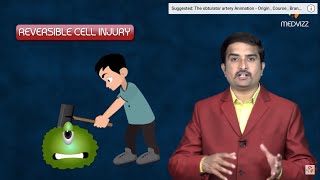 Reversible cell injury  General Pathology Animated USMLE Lecture  Dr Bhanu prakash [upl. by O'Grady]