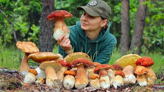 Picking and cooking Porcini mushrooms in Ukrainian forest in June Life in the village [upl. by Aylmar776]