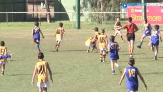 2016 EDFL U10 Div 3 Grand Final  Hadfield highlights [upl. by Nahor]