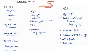 ANCYLOSTOMA DUODENALE NOTES  INFECTIOUS DISEASE  MEDICINE  ONE PAGE NOTES  4TH PROFF  MBBS [upl. by Lindell]