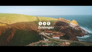 Berlengas  Documentário Life Berlengas [upl. by Ahseekat]