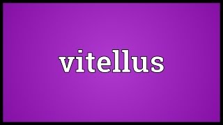 Vitellus Meaning [upl. by Kelli110]