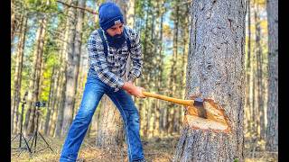 Cutting down big tree with axe  how to  Bushcraft  AXEHOLE LOGGER [upl. by Geddes247]