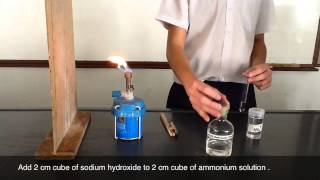 Testing of Ammonium Cations  sodium hydroxide [upl. by Barbaresi160]