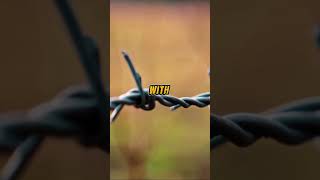 Barbed Wire Unveiled Smart Technique for Safe Unspooling 🧵🔗  DIY Method [upl. by Narej964]