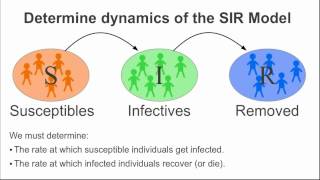 Introduction to an infectious disease model part I [upl. by Nilyak]