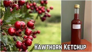 Hawthorn Ketchup Recipe [upl. by Thanos]