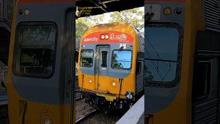 V49 At Lapstone Railway Station train railway sydneytrains australia nswtrains transportnsw [upl. by Schach531]