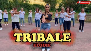 TRIBALE  Elodie  COREOGRAFIA  Balli gruppo  Baile en linea  line DANCE  estate easydance [upl. by Sprage243]