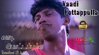 வாடி பொட்டப்புள்ள வெளியே Vaadi Pottapulla Veliye Song HD Video Song 4k Remastered vadivelu [upl. by Hibbitts277]