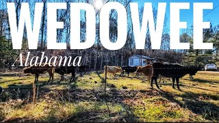 WEDOWEE AL Tiny town in Rural ALABAMA [upl. by Zannini956]