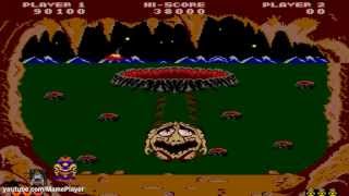 Hole Land 1984 Tecfri Mame Retro Arcade Games [upl. by Schriever498]