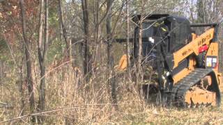 Wildy Inc Tree Mulching with CAT 299D and 415 mulcher [upl. by Chin]