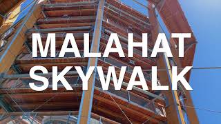 Malahat Skywalk Grand Opening [upl. by Anahsat]