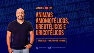 Animais amoniotélicos ureotélicos e uricotélicos [upl. by Chere]