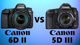 Canon 6D Mark II vs Canon 5D Mark III [upl. by Bonine]