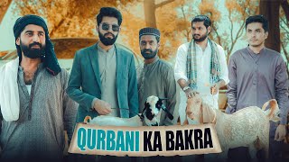 Qurbani ka Bakra  Bakra Eid  Bwp Production [upl. by Heddy]