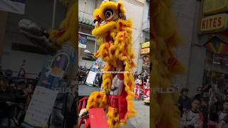 Autumn Moon Festival Lion Dance Performance 2024 [upl. by Eiralc106]