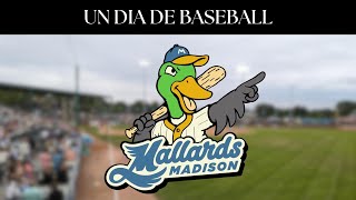 Un día de baseball  Madison Mallards [upl. by Janyte]