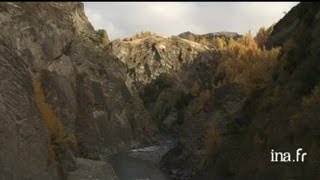 Nouvelle Zélande Ile du Sud  arbres au feuillage jaune [upl. by Araccat]