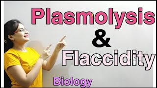 DG Pathshala Plasmolysis Flaccidity Absorption by Roots Topic for Class10 ICSE Biology [upl. by Enyr]