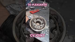 Special Edition for Lubricant lovers shorts cvjoint driveshaft [upl. by Ytsirk]