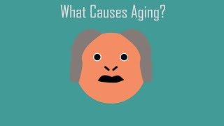 What Causes Aging [upl. by Yraillih]