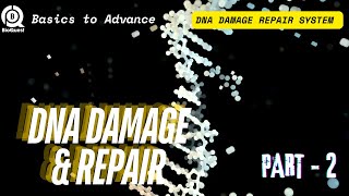 DNA Damage Repair System  Different Types of DNA Damage Repair  DNA Damage amp Repair Part 2 [upl. by Nuris]