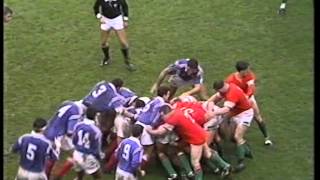 Wales V France 1994  Rugby International  Cardiff Arms Park  Highlights [upl. by Eigram593]