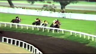 Almanac with G Baxter up wins The IndianSt Leger 1982 video [upl. by Nolitta]