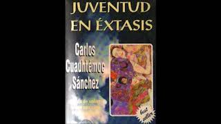 AUDIO LIBRO juventud en extasis voz latino [upl. by Gwenneth]