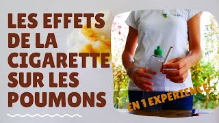 Les effets de la cigarette sur les poumons en 1 expérience [upl. by Rednasxela]