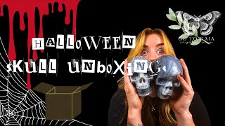 Halloween Crystal Skull Unboxing [upl. by Cassidy96]