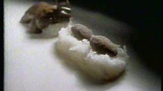 Almond JoyMounds Candy Bars 01 TV commercial  1981 [upl. by Olram]