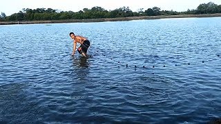 Traditional Life of Coastal Fishermen  Milkfish Pond [upl. by Allveta329]