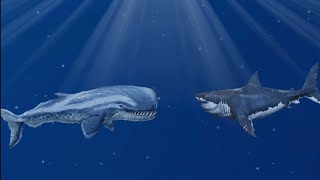 megalodon vs livyatan vs mosasaurus [upl. by Roath]