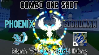 Combo One Shot With Phoenix And Godhuman  Blox Fruits [upl. by Amsab]