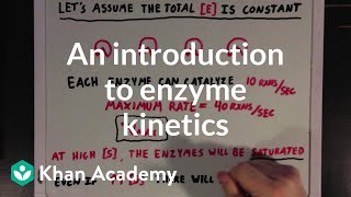 An introduction to enzyme kinetics  Chemical Processes  MCAT  Khan Academy [upl. by Asillam826]