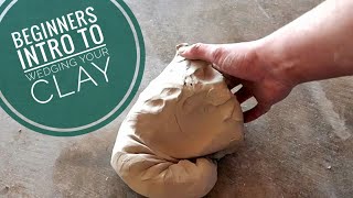 Beginners Intro to Wedging your Clay [upl. by Seabrooke230]