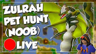 🔴LIVE Zulrah Teaching amp Clues I Get Pet  You Get 50m [upl. by Babs]