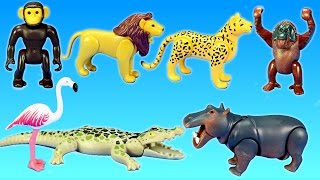 PLAYMOBIL Jungle Zoo Wild Animals Pond Area Building Set Build Review [upl. by Tengler]