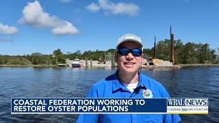 Pamlico Sound to become home to oyster sanctuary [upl. by Ivory]