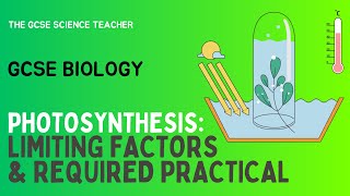 GCSE Biology Photosynthesis Required Practical AQA OCR Edexcel [upl. by Beshore]