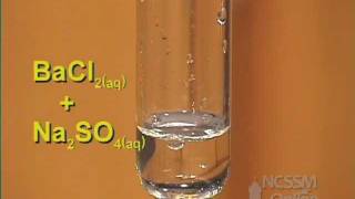 Double Displacement Sodium Sulfate and Barium Chloride [upl. by Adamsen]