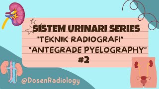 Teknik Radiografi Antegrade Pyelography APG urinary urinarysystem antegrade pyelonephritis [upl. by Sutton425]