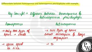 Differentiate between homosporous and heterosporous pteridophytes with example [upl. by Denis928]