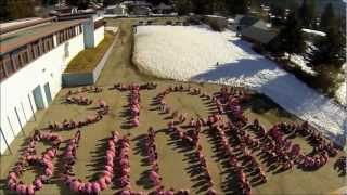 Anti Bullying Day Timelapse  Fruitvale Elementary School [upl. by Arella]