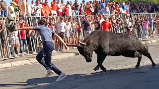 Encierro à Arles  Féria du riz 2023  09092023 [upl. by Nnyre]